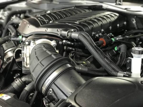 Ford Mustang Bullitt 3.0L Stage 1 Supercharger Kit 2019-2020